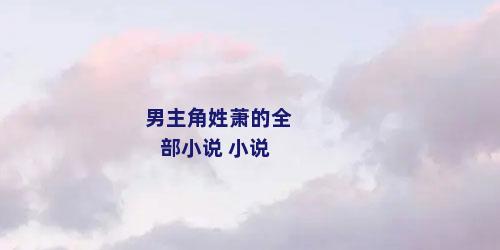 男主角姓萧的全部小说 小说